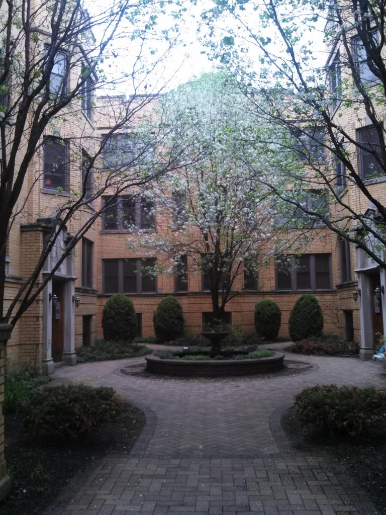 Tuckpointing – Parapet Wall Repairs – Caulking – Lintel Replacement – Brick Replacement – Limestone Repair and Replacement